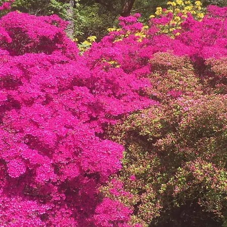 Ostseeruhe * Gelbensande