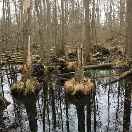 Ostseeruhe * Gelbensande