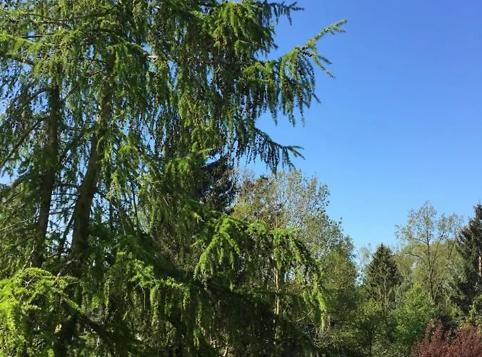 Ostseeruhe Appartamento *