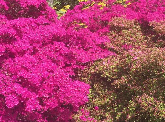 Ostseeruhe * Gelbensande