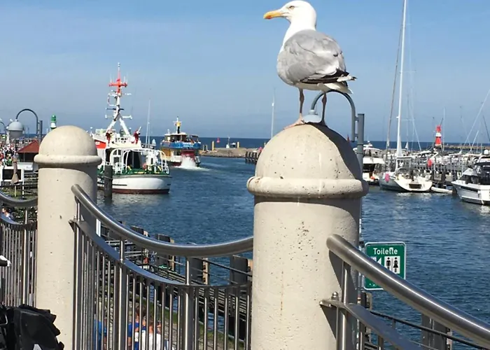 Ostseeruhe Appartamento